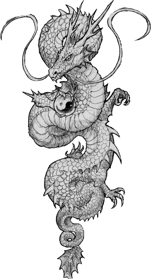 Chinese Tattoo - Dragon Tattoo Chinese (487x897), Png Download