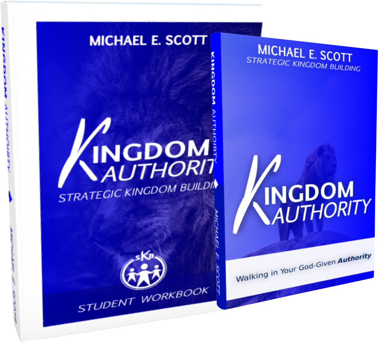 New Book - Book Cover (1344x1186), Png Download