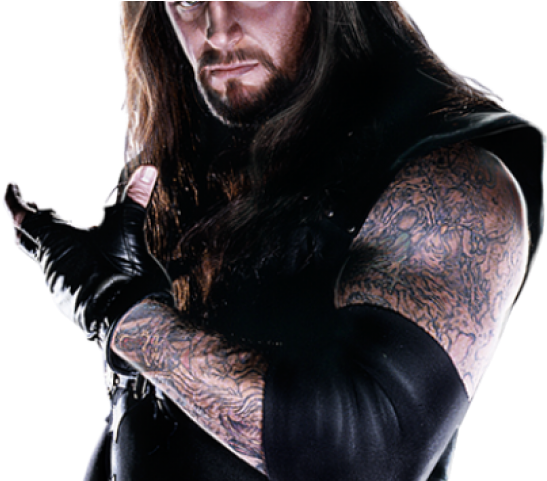 All Wwe Superstars One By One (640x480), Png Download