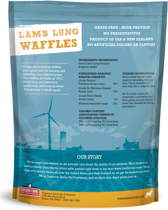 Ocean (600x761), Png Download