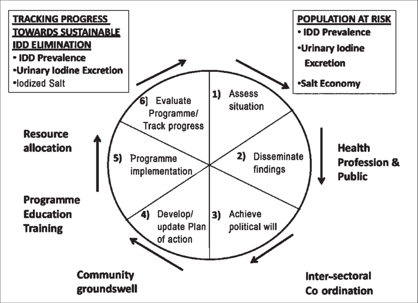 Social Process Model For A National Idd Control Programme - Process Control Programme (850x616), Png Download