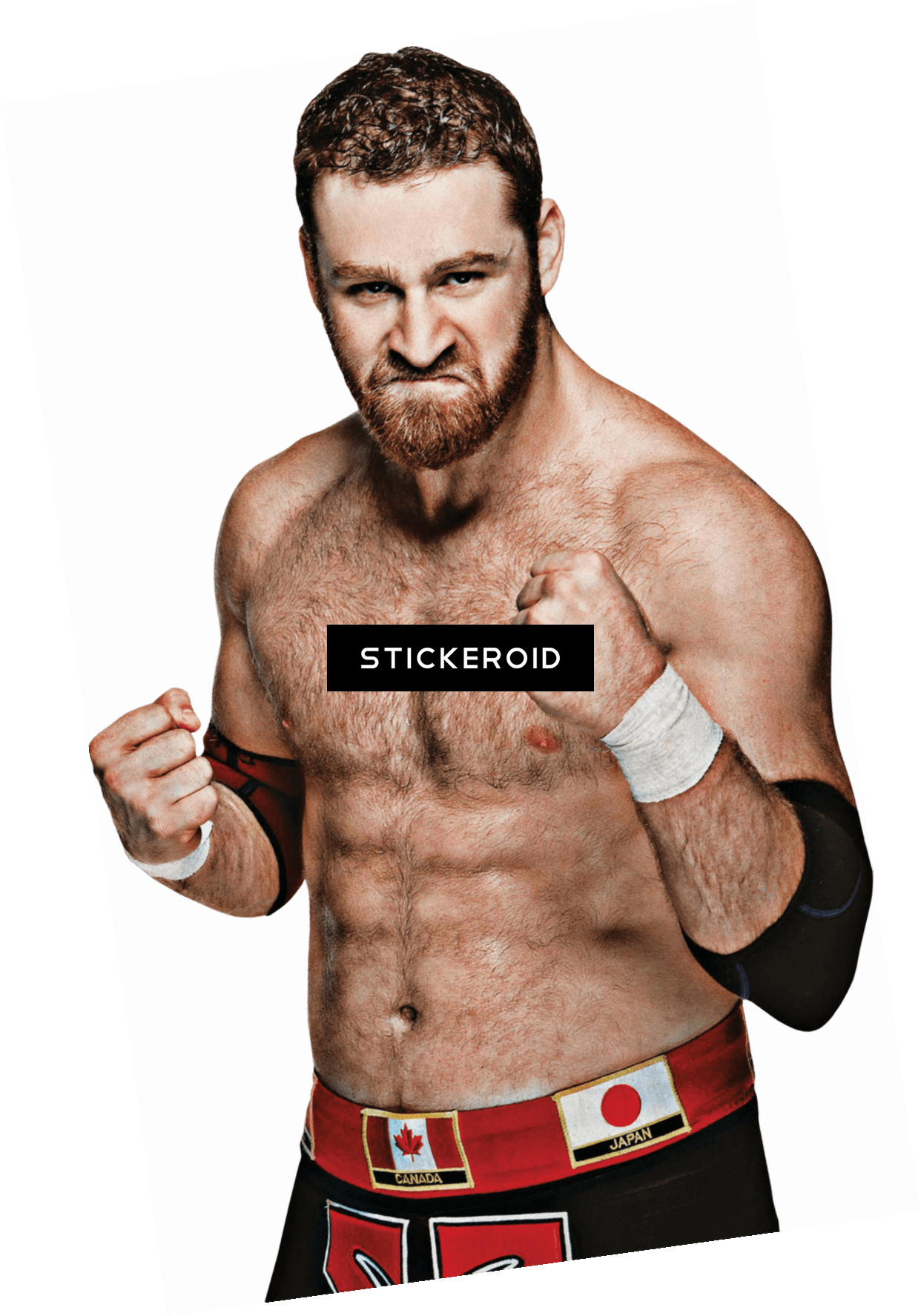 Sami Zayn - Jada Toys Wwe Wrestling Nano Metalfigs Sami Zayn Diecast (1242x1774), Png Download