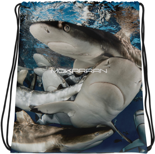 Shark Bag - Truchet Tiles (600x600), Png Download