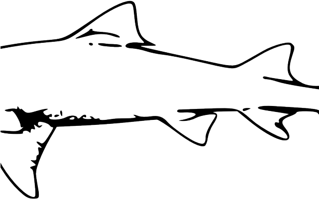 Great White Shark Clipart Traceable (640x480), Png Download