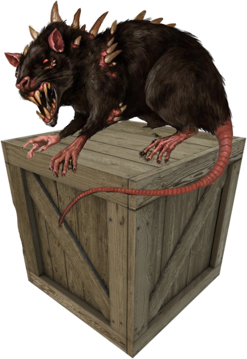 Rat-bilge - Rato Atroz D&d (489x712), Png Download