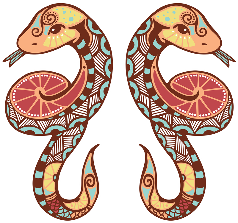 Zodiac - Gemini Snake (800x749), Png Download
