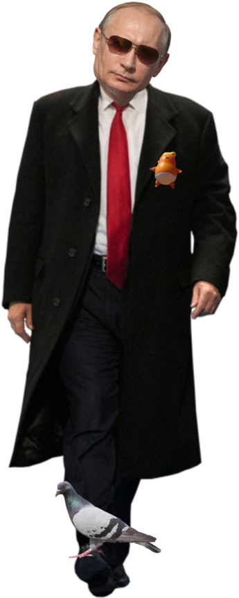 [ Img] - Jacket (741x921), Png Download