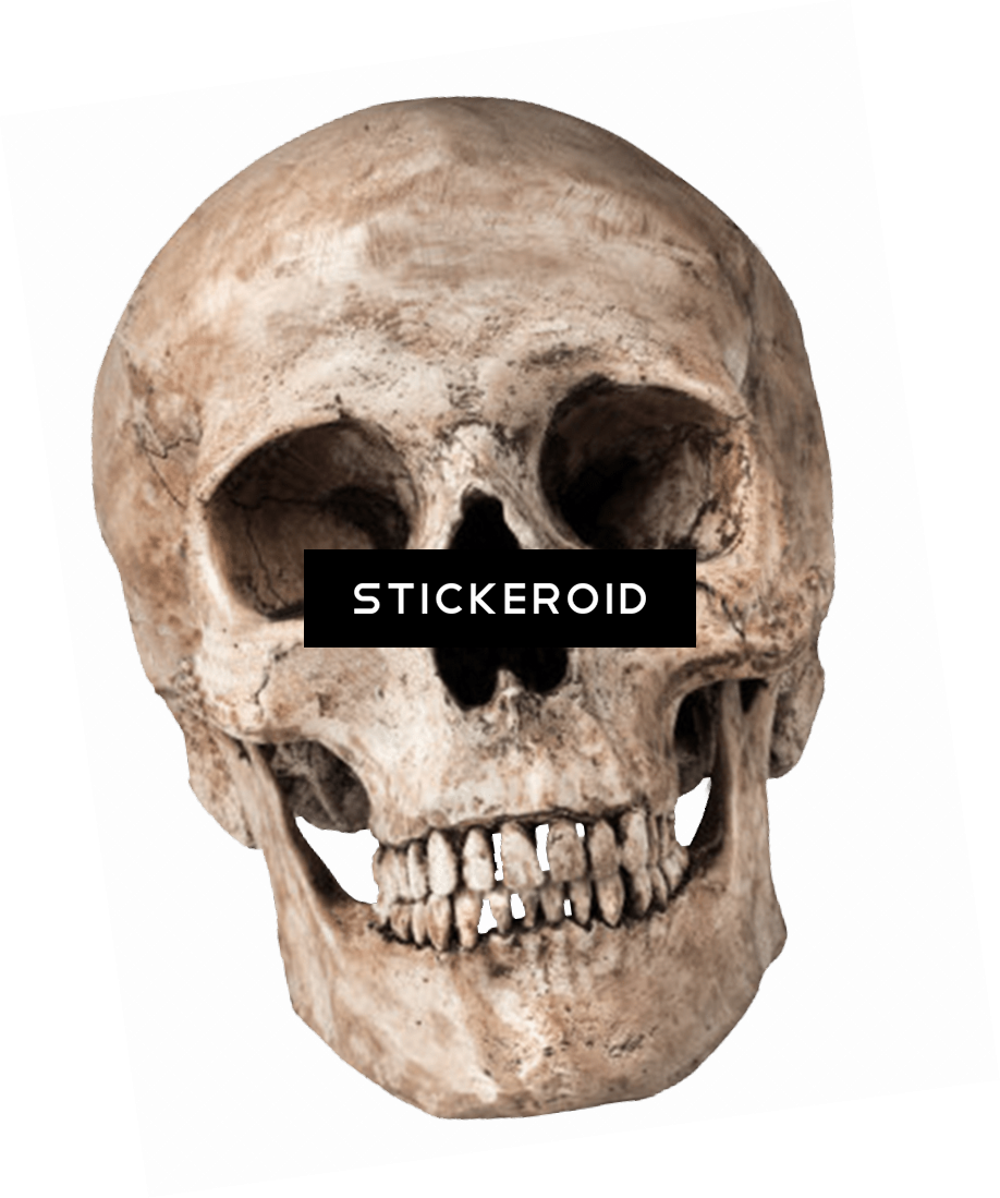 Human Skull - Sonu Rajput Editing Background (918x1099), Png Download