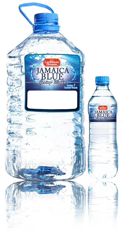 Image (538x1000), Png Download