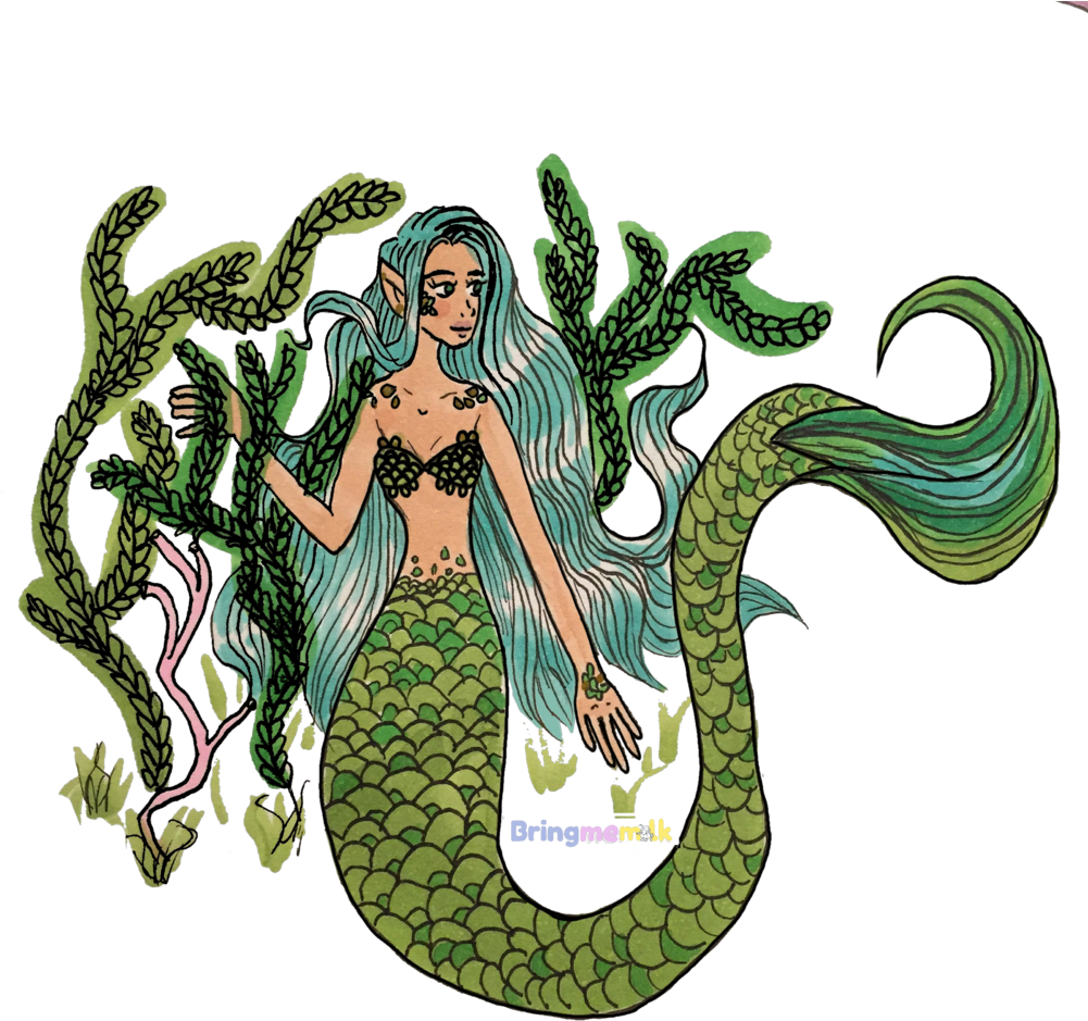 Green Scales Mermaid Digital (1000x1000), Png Download