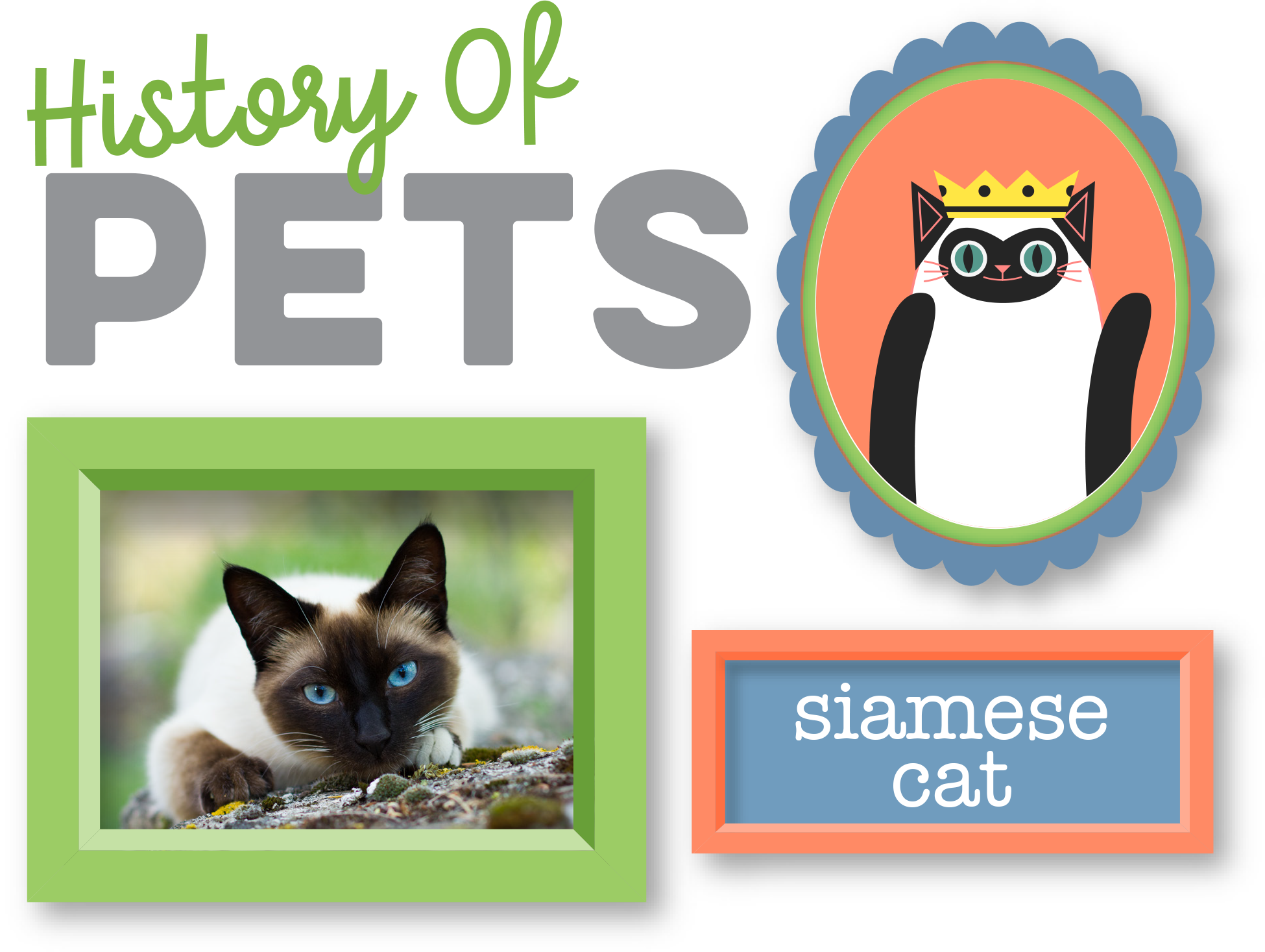 While A Well-known Breed, A Lesser Known Fact About - Pet (1950x1467), Png Download