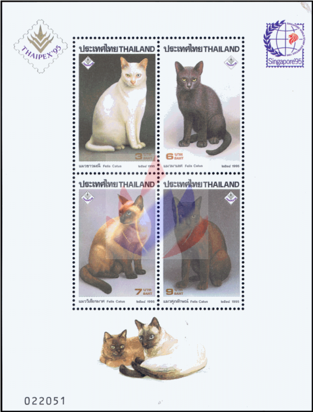 Siamese Cats - Postage Stamp (800x800), Png Download