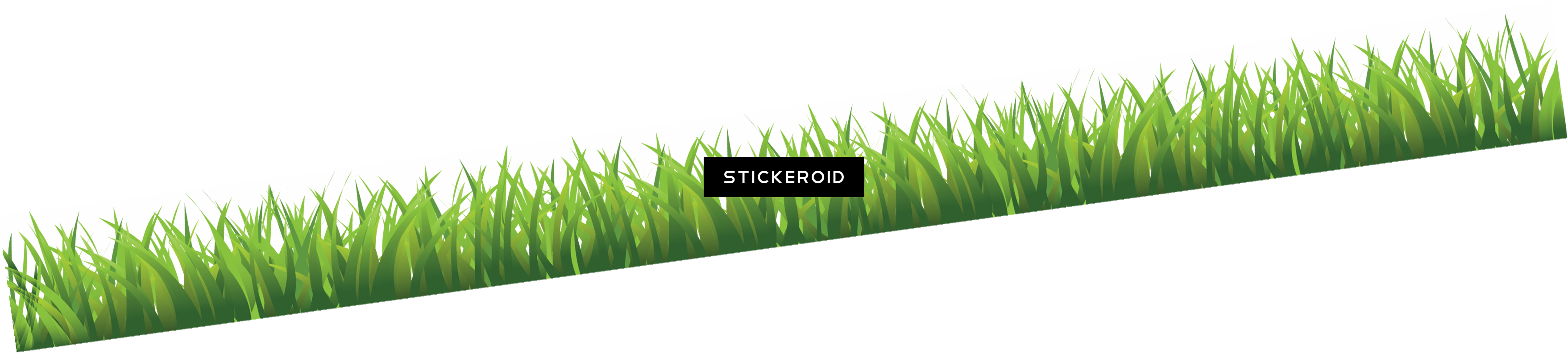 Grass Green Grass Nature - Sweet Grass (3514x794), Png Download