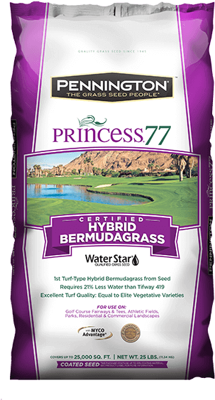 Princess - Pennington Grass Princess 77 (600x600), Png Download