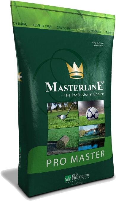 Masterline Grass Seed (595x842), Png Download