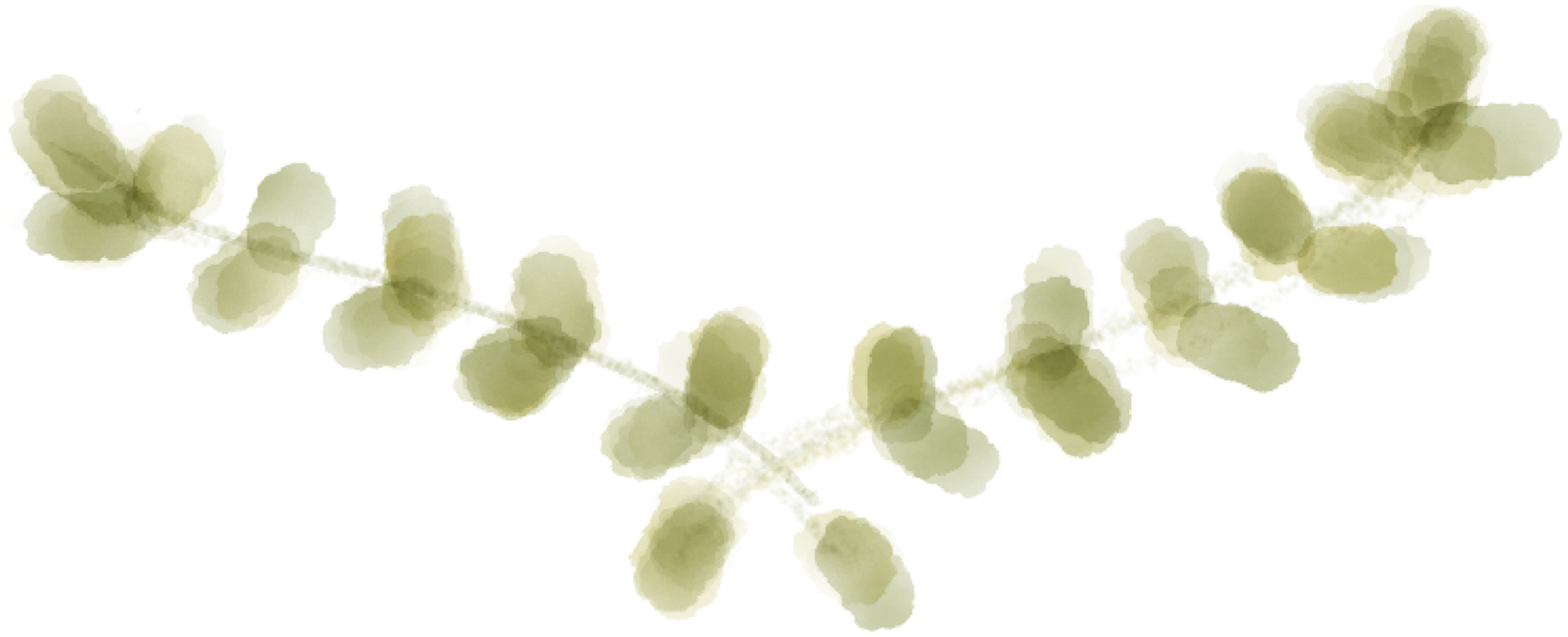 Post Navigation - Watercolor Laurel Wreath Png (1700x751), Png Download