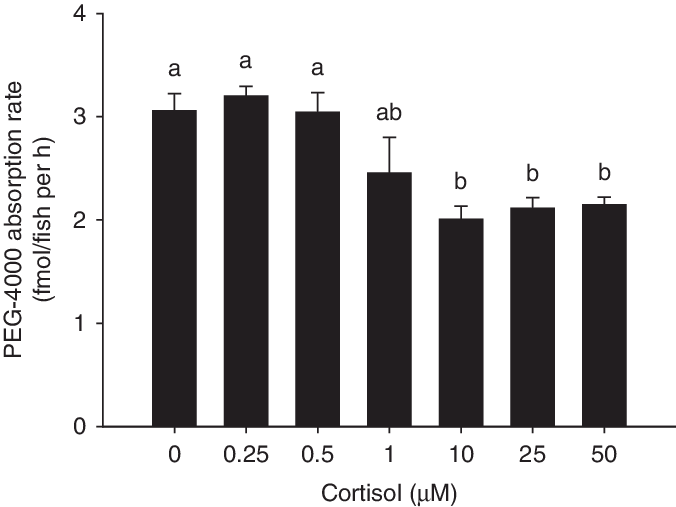 The Epithelial Permeability Reduces With Increasing - Mean (676x507), Png Download