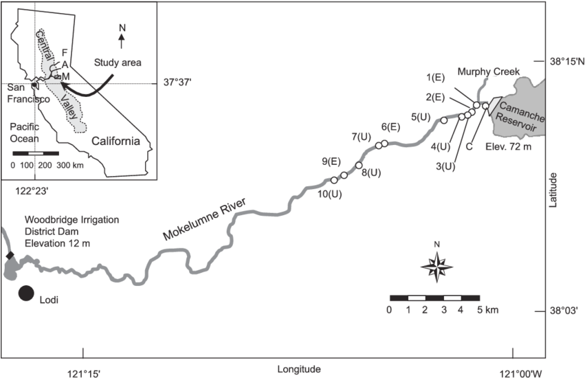 Locations Of 10 Egg-tube Study Sites Within The Lower - Diagram (850x578), Png Download