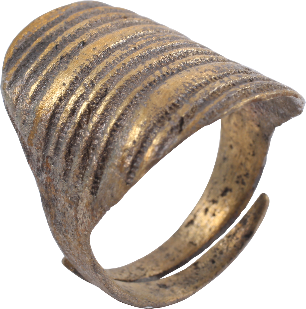 Viking Shield Ring C - Vikings (1015x1024), Png Download