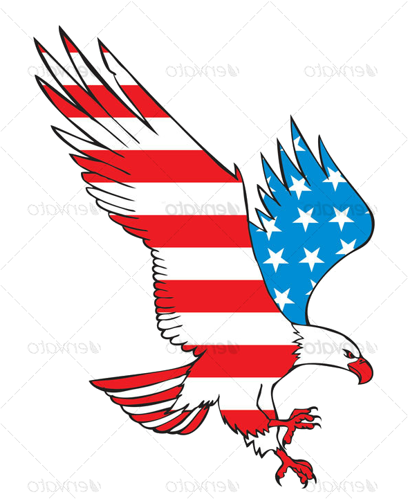 Eagle-flip - Eagle (590x721), Png Download