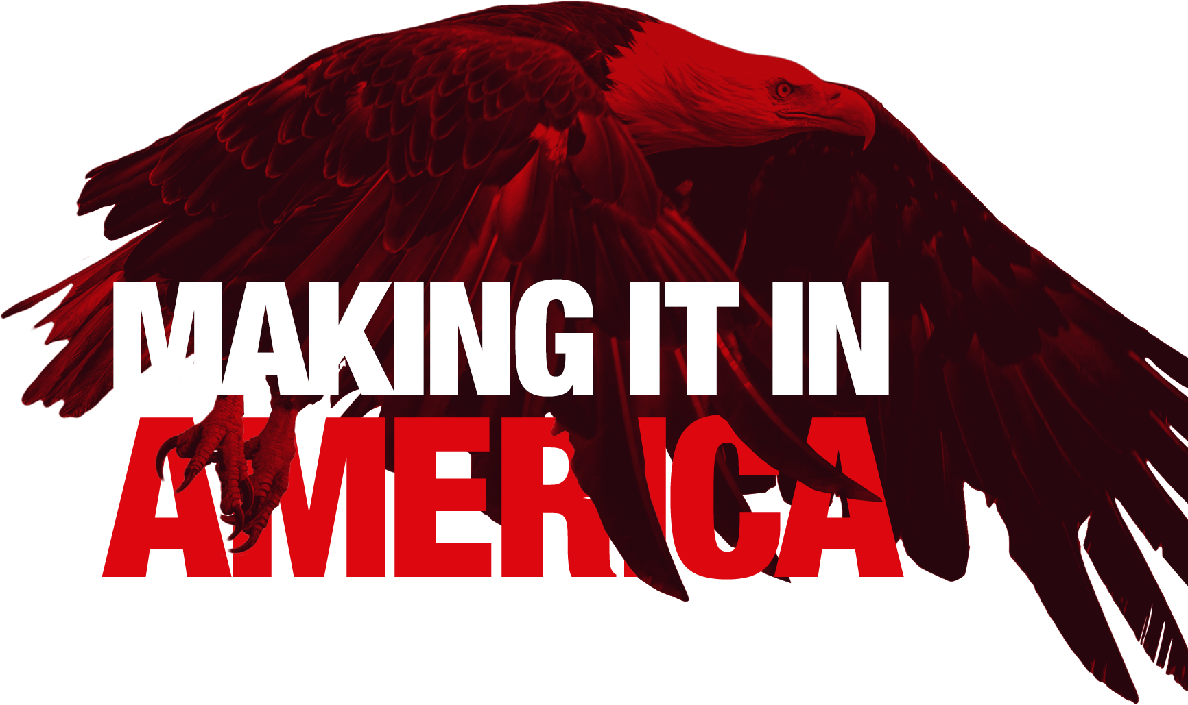 So If You Are Looking For Someone Who Is “making It - Hawk (1732x1029), Png Download