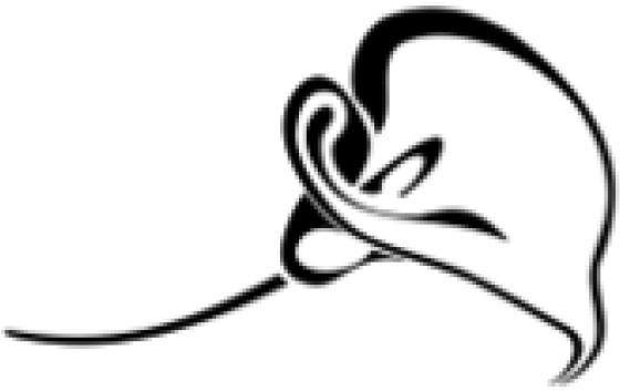 Calla Lily Clipart Border - Calla Lily Tattoo (640x480), Png Download