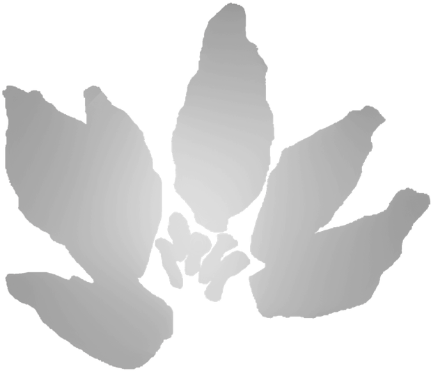 Lotus 1 - Download (639x574), Png Download