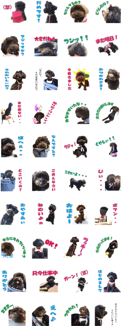 Cute Little Mix Dog Anzu - Ape (420x1121), Png Download