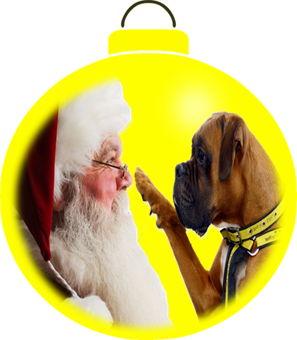 Merry Christmas Everyone The Blog Will Be Taking A - Weihnachtspostkarte Postkarte (596x682), Png Download