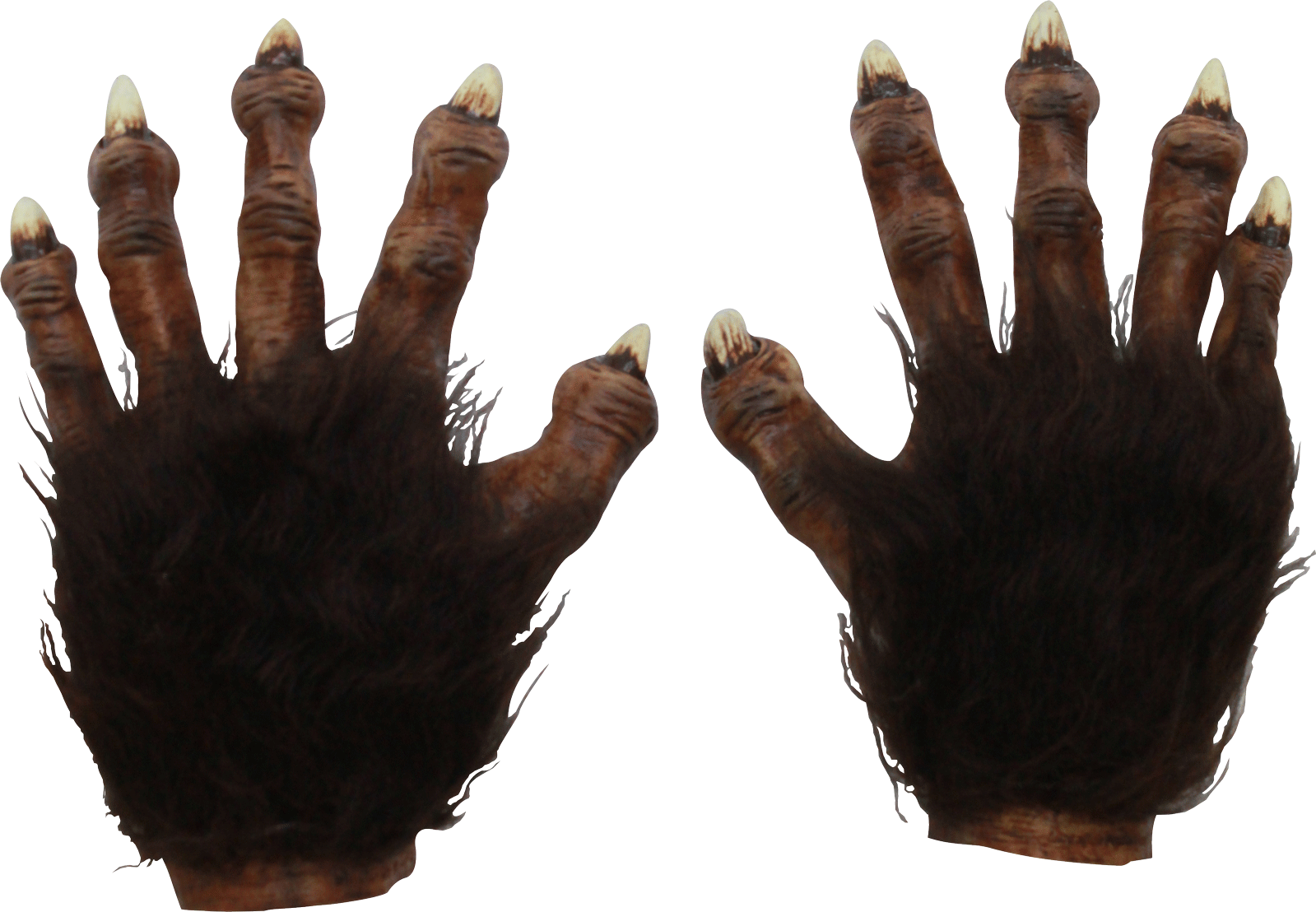 Wolf Hands (1599x1108), Png Download