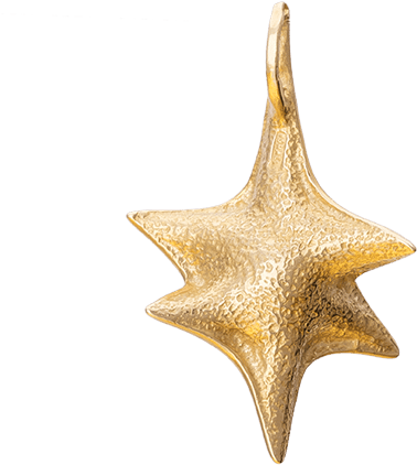 Sale - Marine Invertebrates (730x730), Png Download