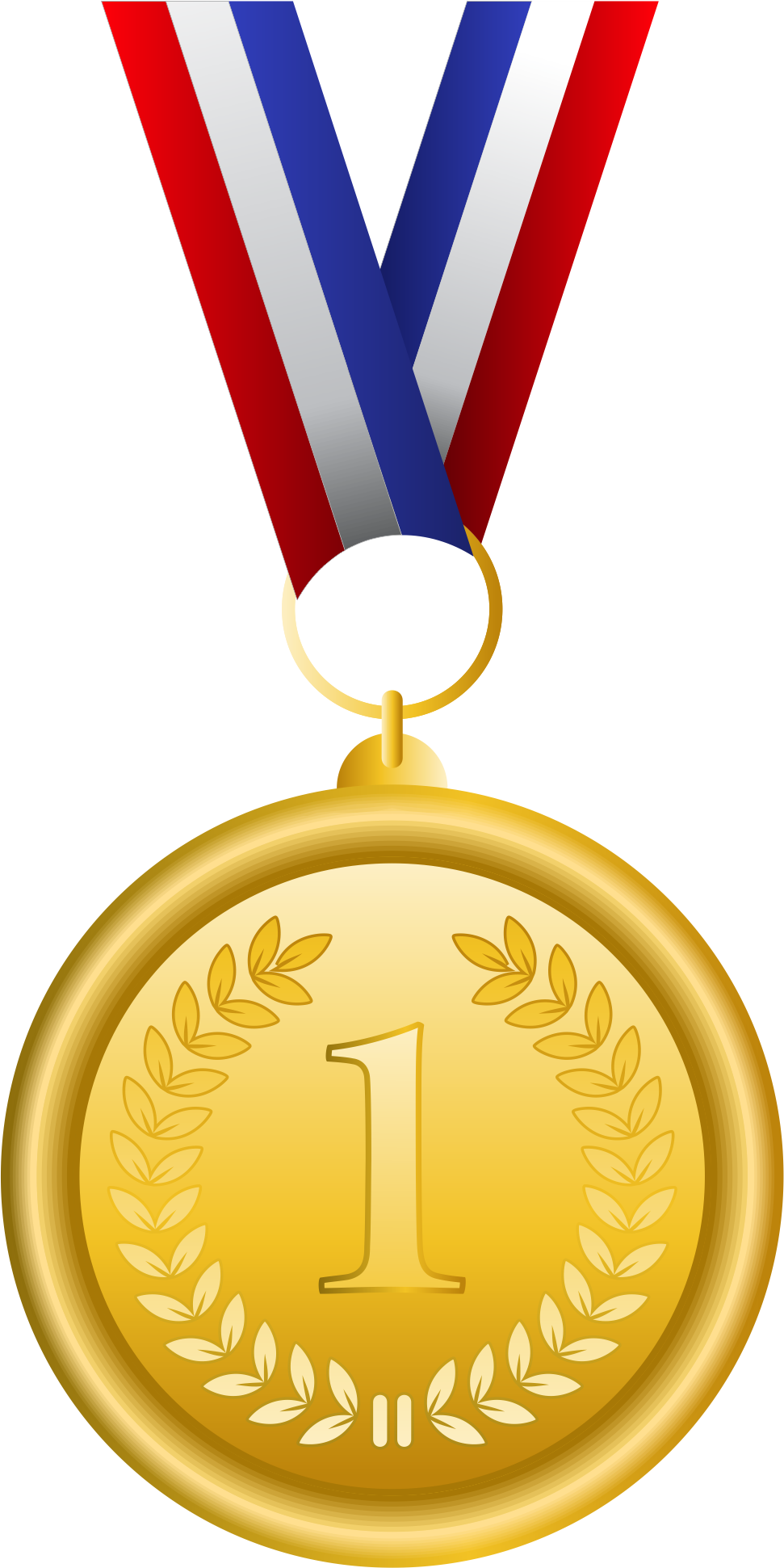 Gold Medal Olympic Medal Bronze Medal Clip Art - Gold Medal In Color (971x1941), Png Download