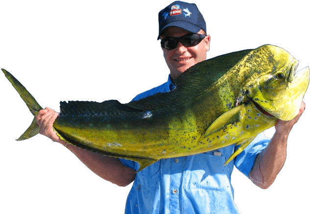 1 - Big-game Fishing (960x565), Png Download