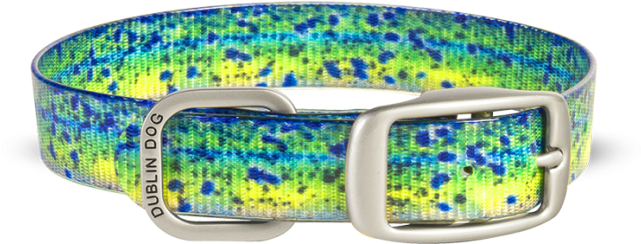 dublin dog collar
