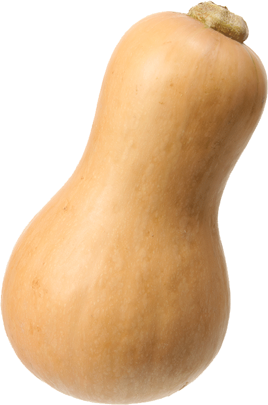 Butternut Squash (847x1000), Png Download