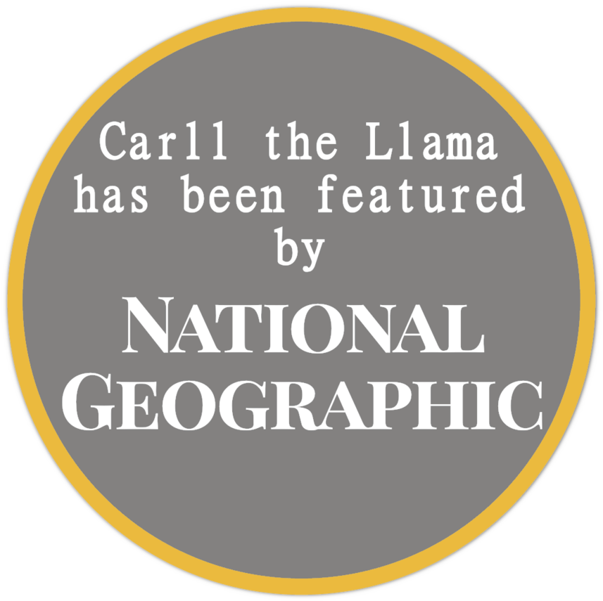 Carll Nat Geo Label - National Geographic (1000x938), Png Download