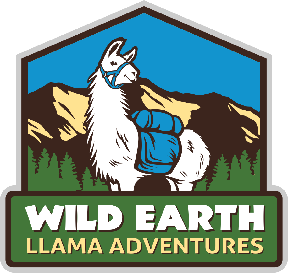 Wild Earth Llama Adventures - Taos (916x870), Png Download