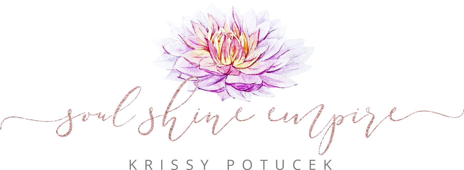 Krissy Potucek - Water Lily (2000x808), Png Download