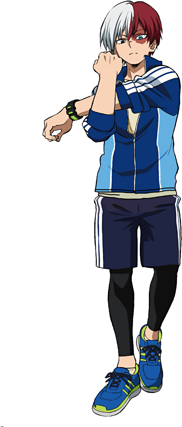I Got This Much - My Hero Academia Figure Todoroki (900x1460), Png Download
