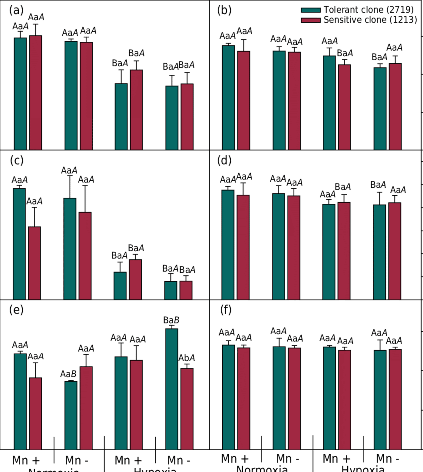 Gas Exchange And Pigment Levels In Leaves From Two - Alanine Transaminase Activity (850x948), Png Download