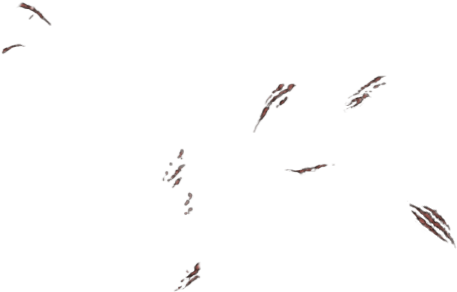 Flock (640x500), Png Download