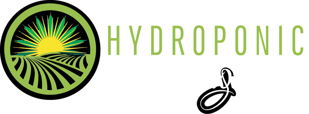 Final 02 [recovered] (1000x371), Png Download