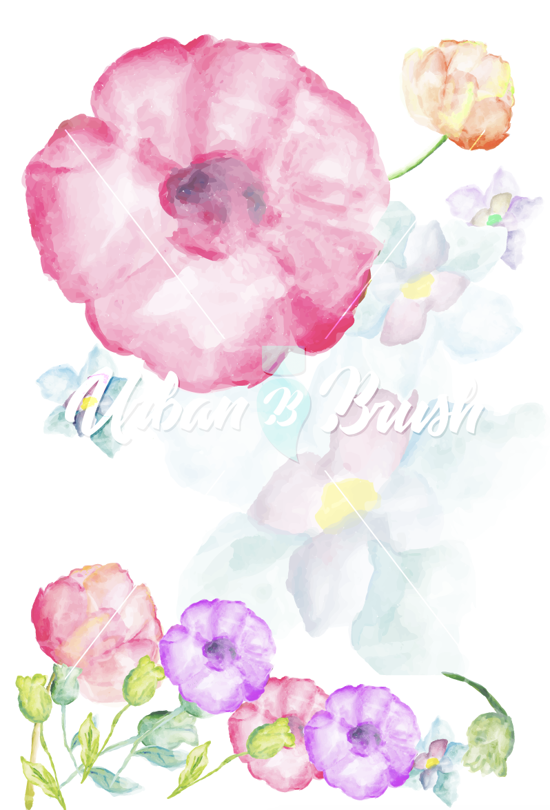 먹물꽃 일러스트 Flower Illustration - Password Logbook: A Premium Journal An Internet Address (798x1176), Png Download