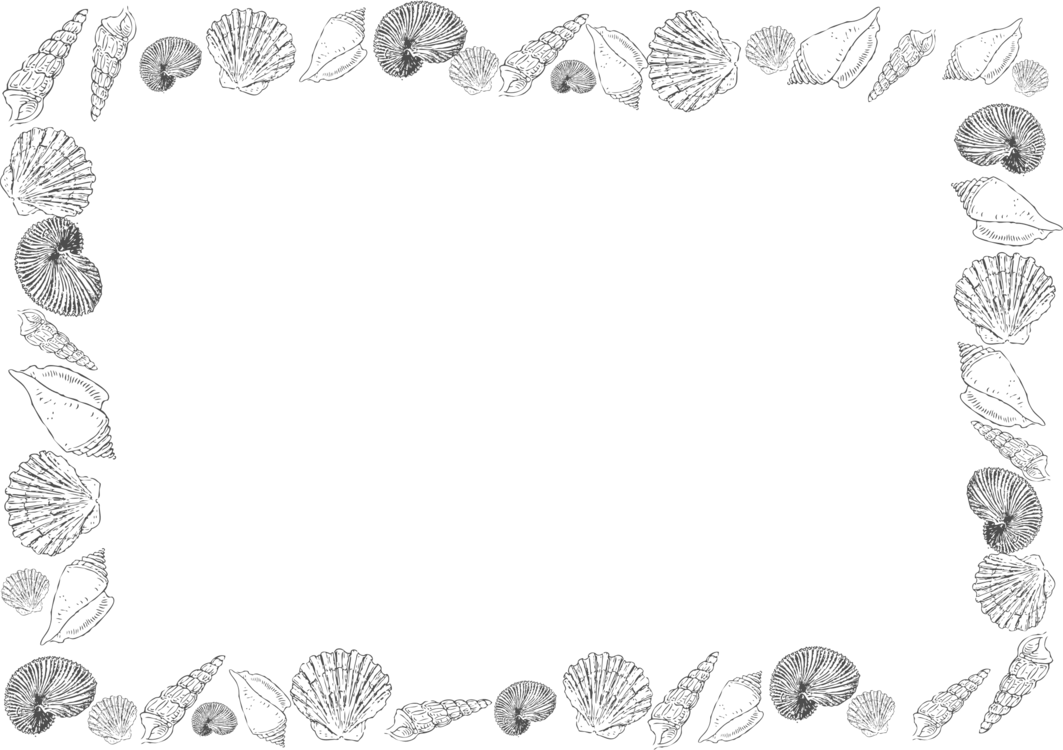 Kisscc Borders And Frames Seashell Drawing Black And - Shell Border Clip Art (1063x750), Png Download