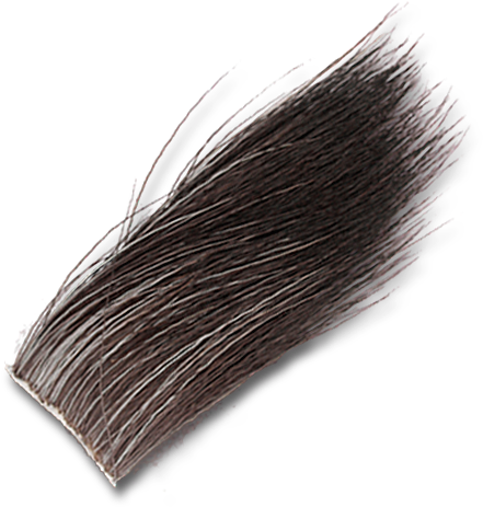 Moose Body Hair - Hair (560x560), Png Download