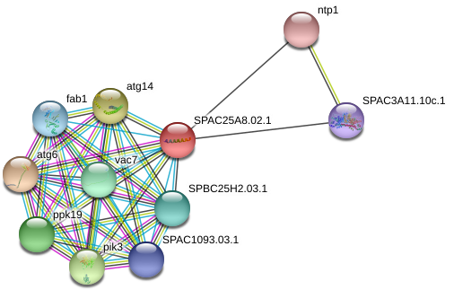 1 Protein - Circle (976x359), Png Download