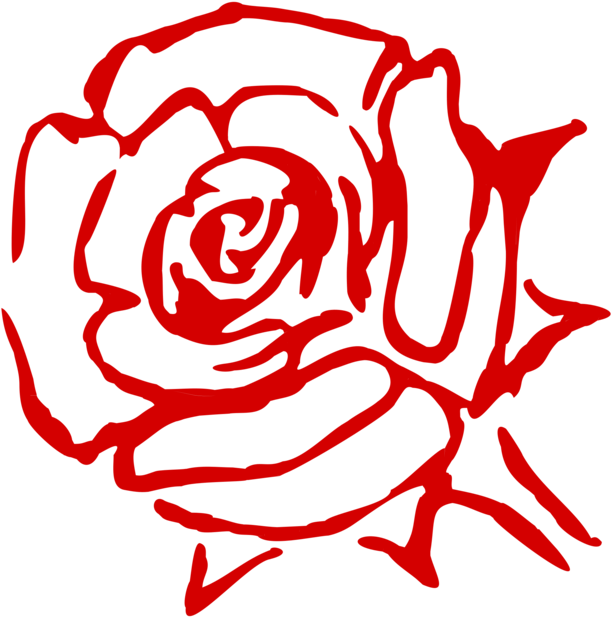 Rose Family Flower China Rose Garden Roses Cabbage - Art Line Red Rose (744x750), Png Download