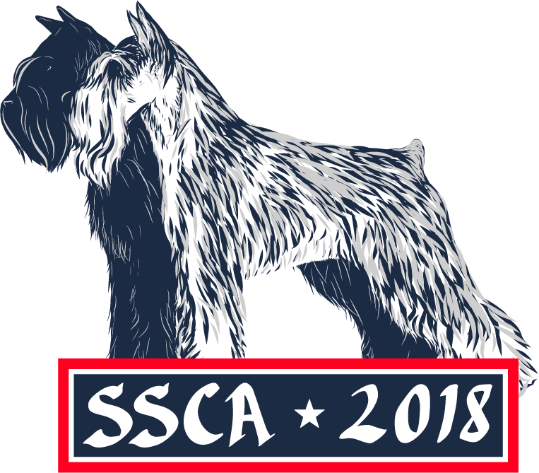 More Realistic With Texture - Small Terrier (763x669), Png Download