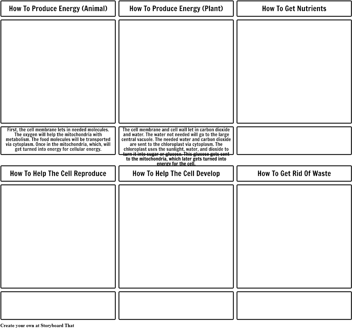 Female Characters In Mockingjay (1164x1086), Png Download