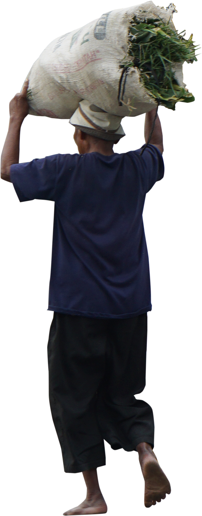 Farmer Png Farmer Png - Portable Network Graphics (795x2028), Png Download